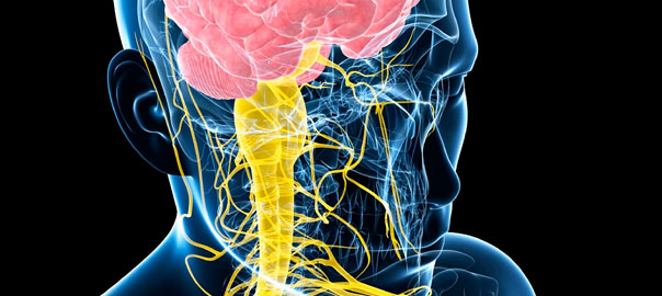 Alzheimers and Dementia research - Cytoplan