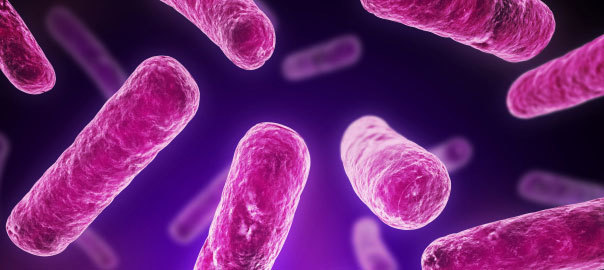 Probiotic Health and Mood