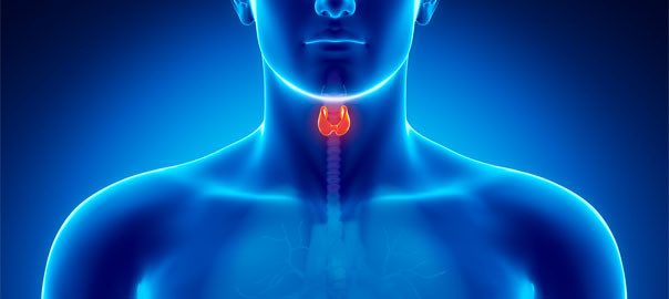 Thyroid Problems – the difference between ‘form’ and ‘function’