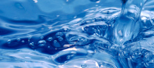 Water - The Elixir of Life