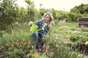 Histamine and seasonal allergies: mature woman knelt down watering her garden plants.