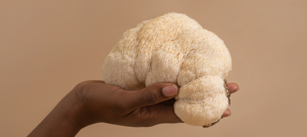 African women's hand holding Lion's Mane mushroom against a beige background.